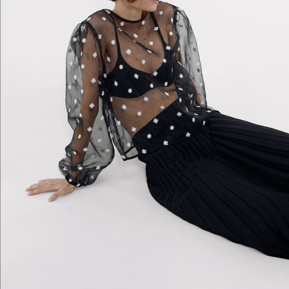 ZARA Embroidered Organza Top - Picture 6 of 7